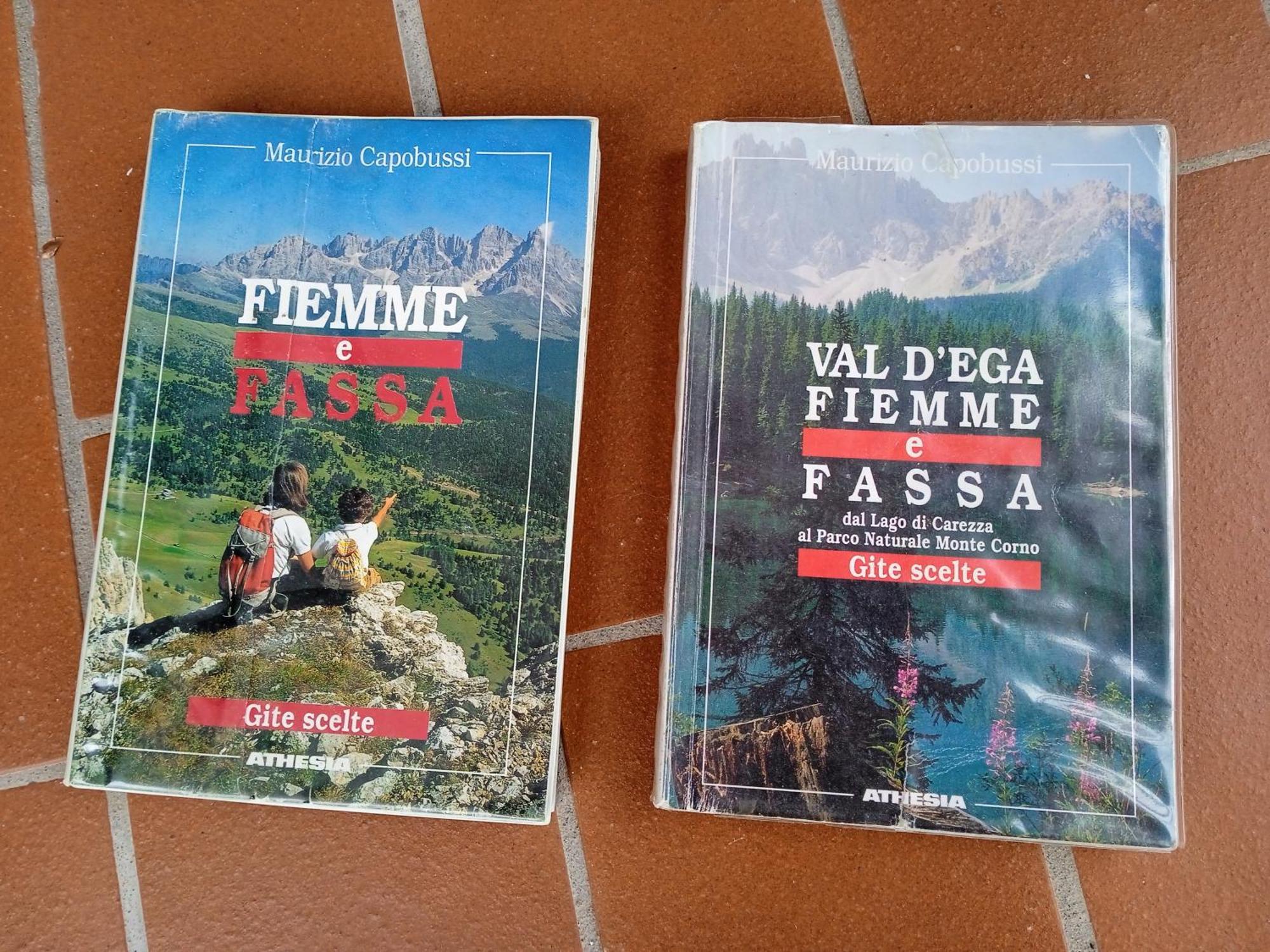 Appartamento Tiziana Val Di Fiemme การาโน ภายนอก รูปภาพ