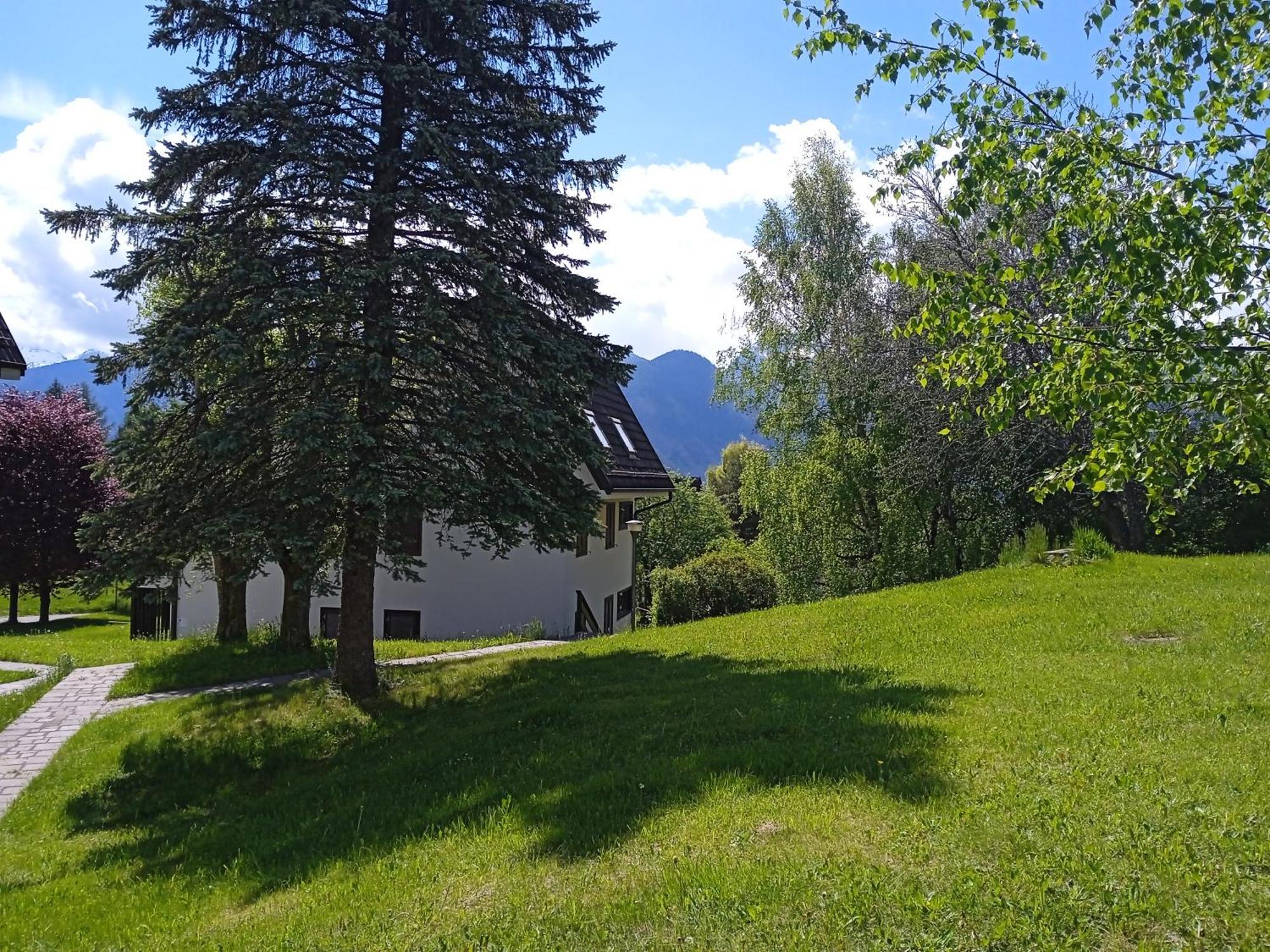 Appartamento Tiziana Val Di Fiemme การาโน ภายนอก รูปภาพ