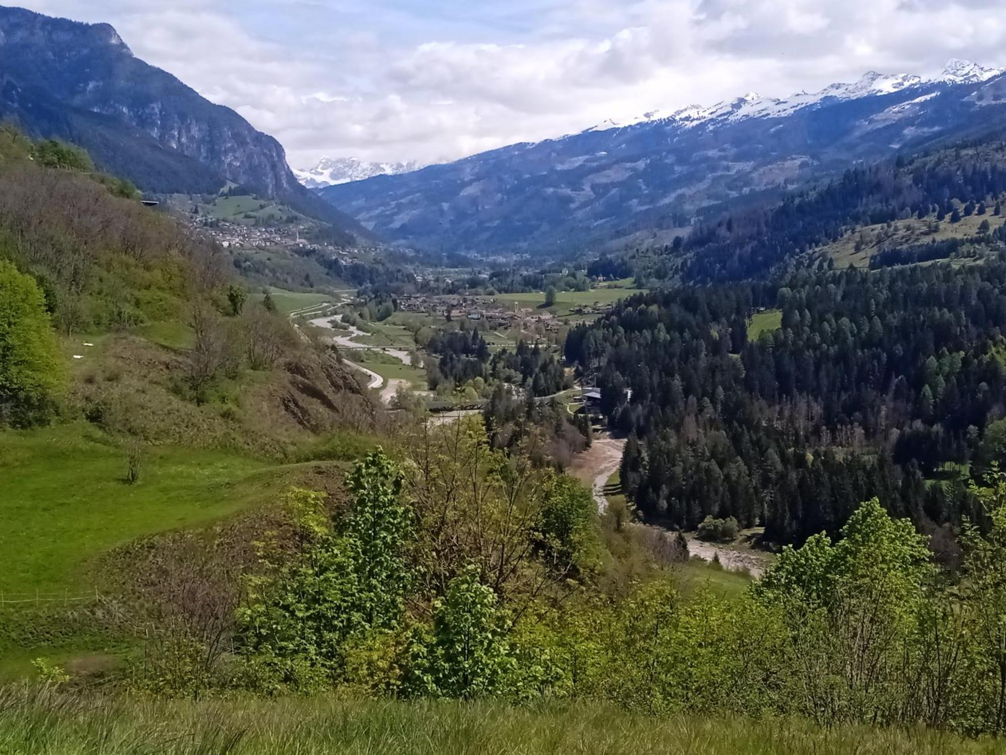 Appartamento Tiziana Val Di Fiemme การาโน ภายนอก รูปภาพ