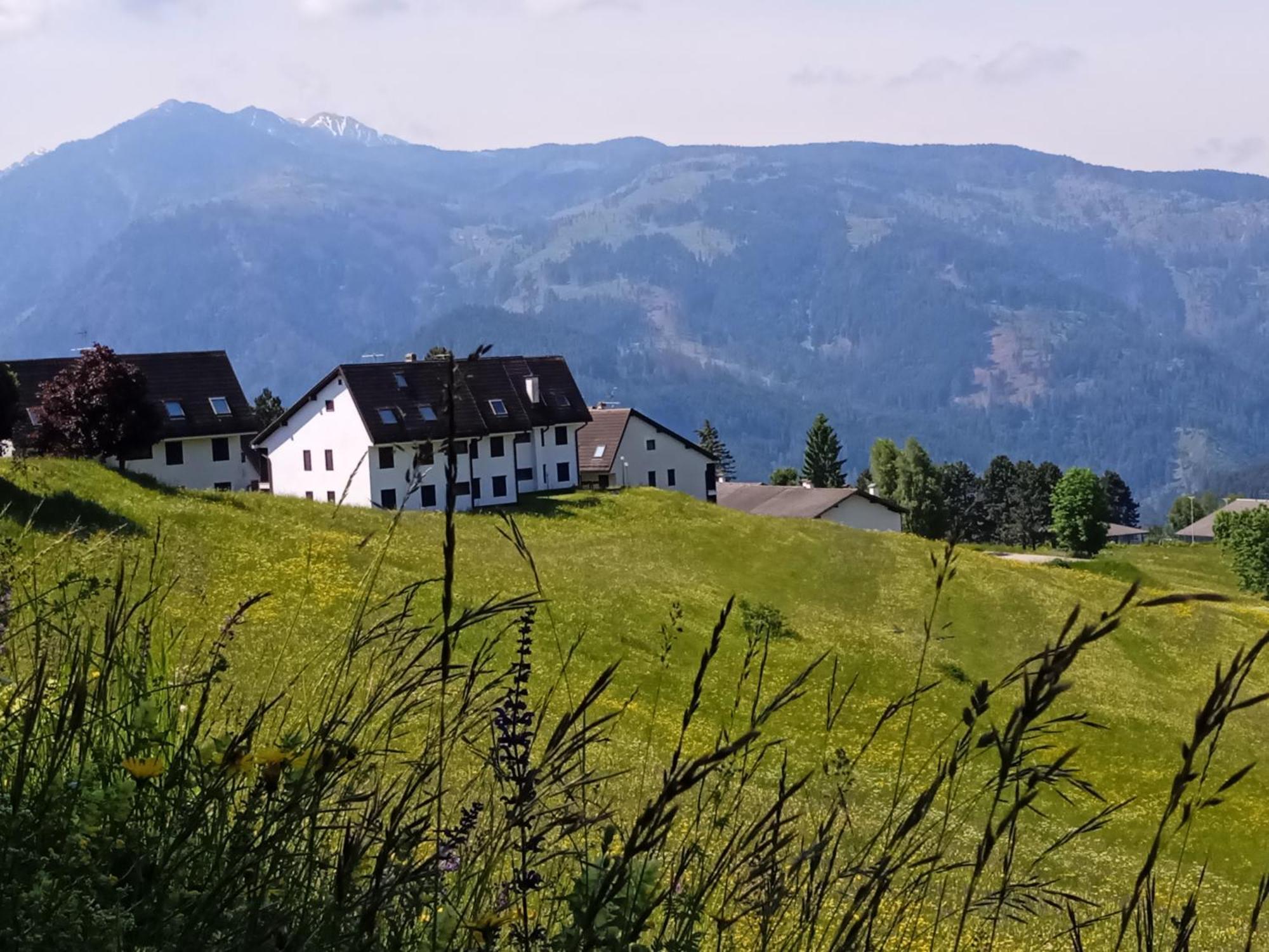 Appartamento Tiziana Val Di Fiemme การาโน ภายนอก รูปภาพ