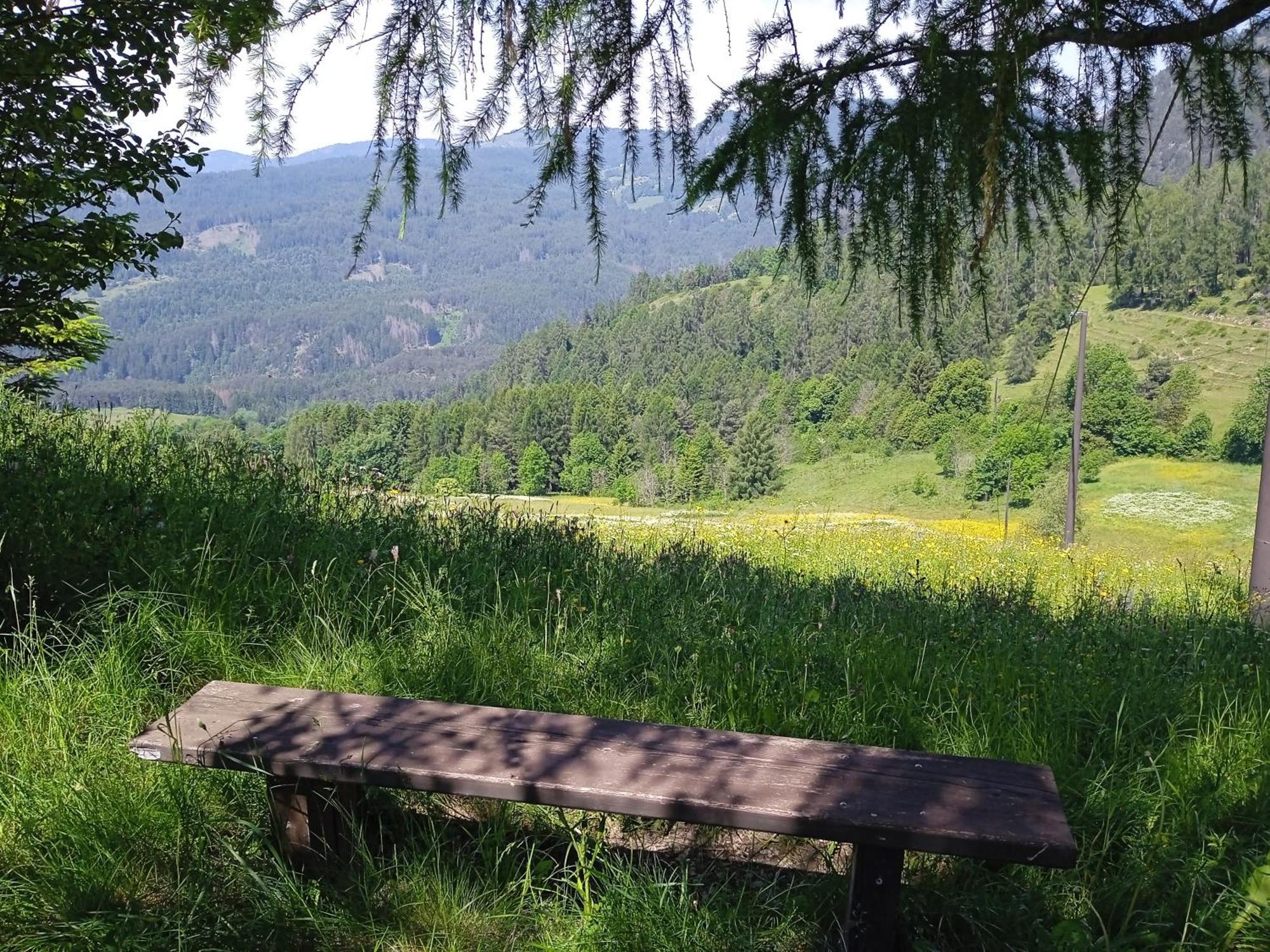 Appartamento Tiziana Val Di Fiemme การาโน ภายนอก รูปภาพ