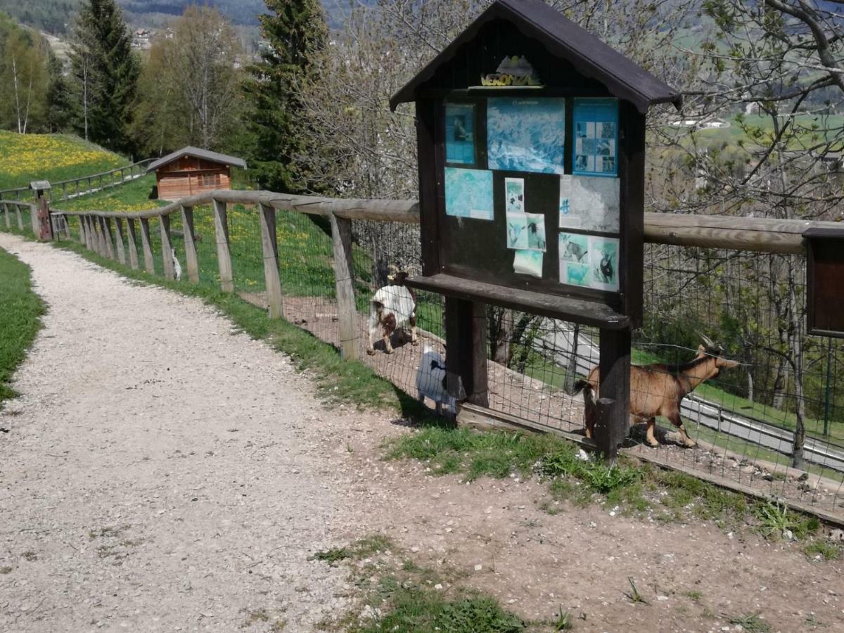 Appartamento Tiziana Val Di Fiemme การาโน ภายนอก รูปภาพ