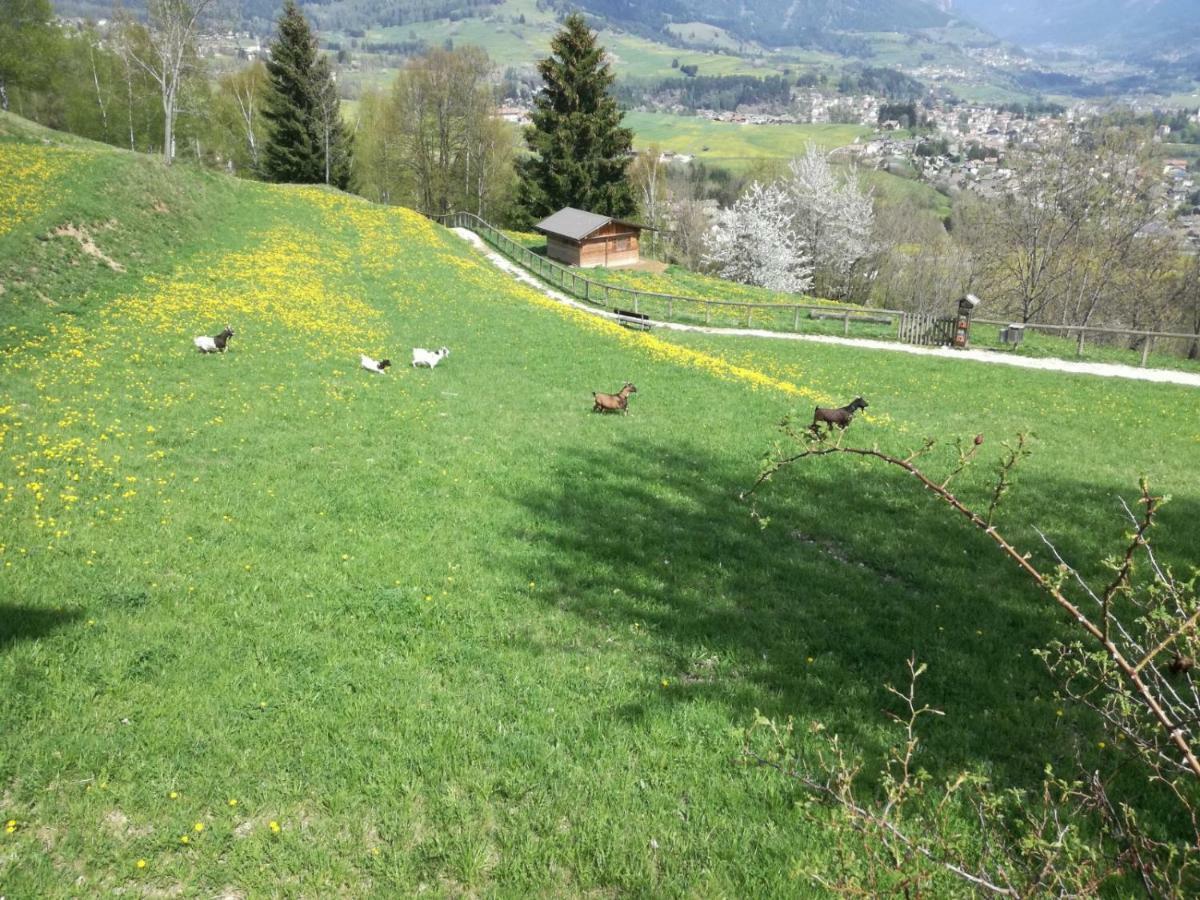 Appartamento Tiziana Val Di Fiemme การาโน ภายนอก รูปภาพ