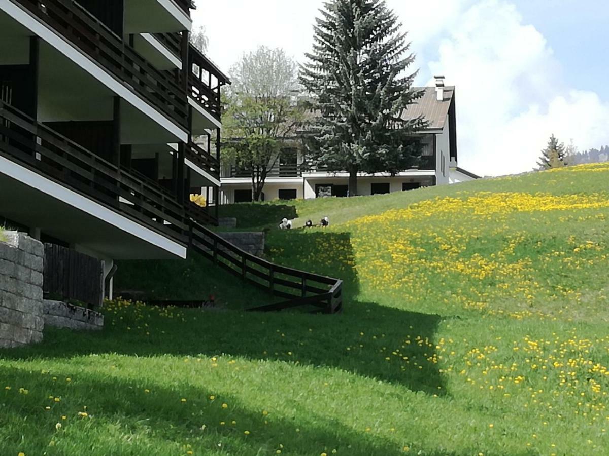 Appartamento Tiziana Val Di Fiemme การาโน ภายนอก รูปภาพ